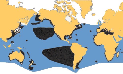 Mappa distribuzione squalo bianco